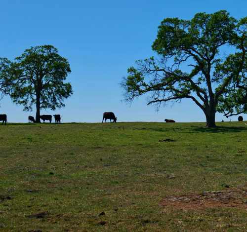 9495df265cb94ae27f80cb568e59ec5674f73451