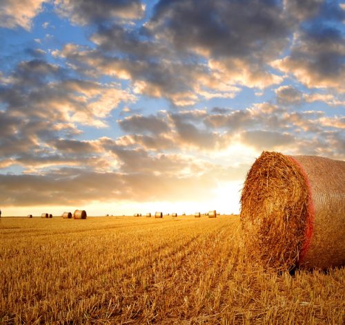 a4f40d157617b1b02b01ac7b0d8fbfa1a46e0ed9